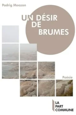 Un désir de brumes, Padrig Moazon