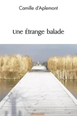 Une Etrange balade, Camille d' Aplemont