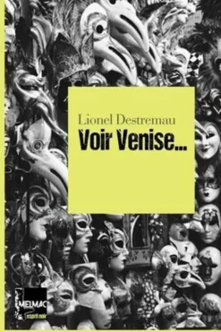 Voir Venise, Lionel Destremau