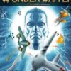 Wunderwaffen Tome 11 : L'ombre de Wewelsburg, Richard D. Nolane